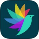 四季旅行网app V1.0.0