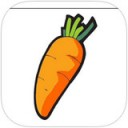 萝卜报告app V2.4.6